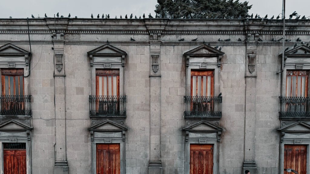 CASA NOJ